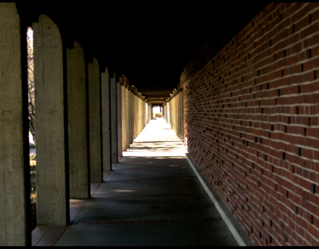Halls of Learning
