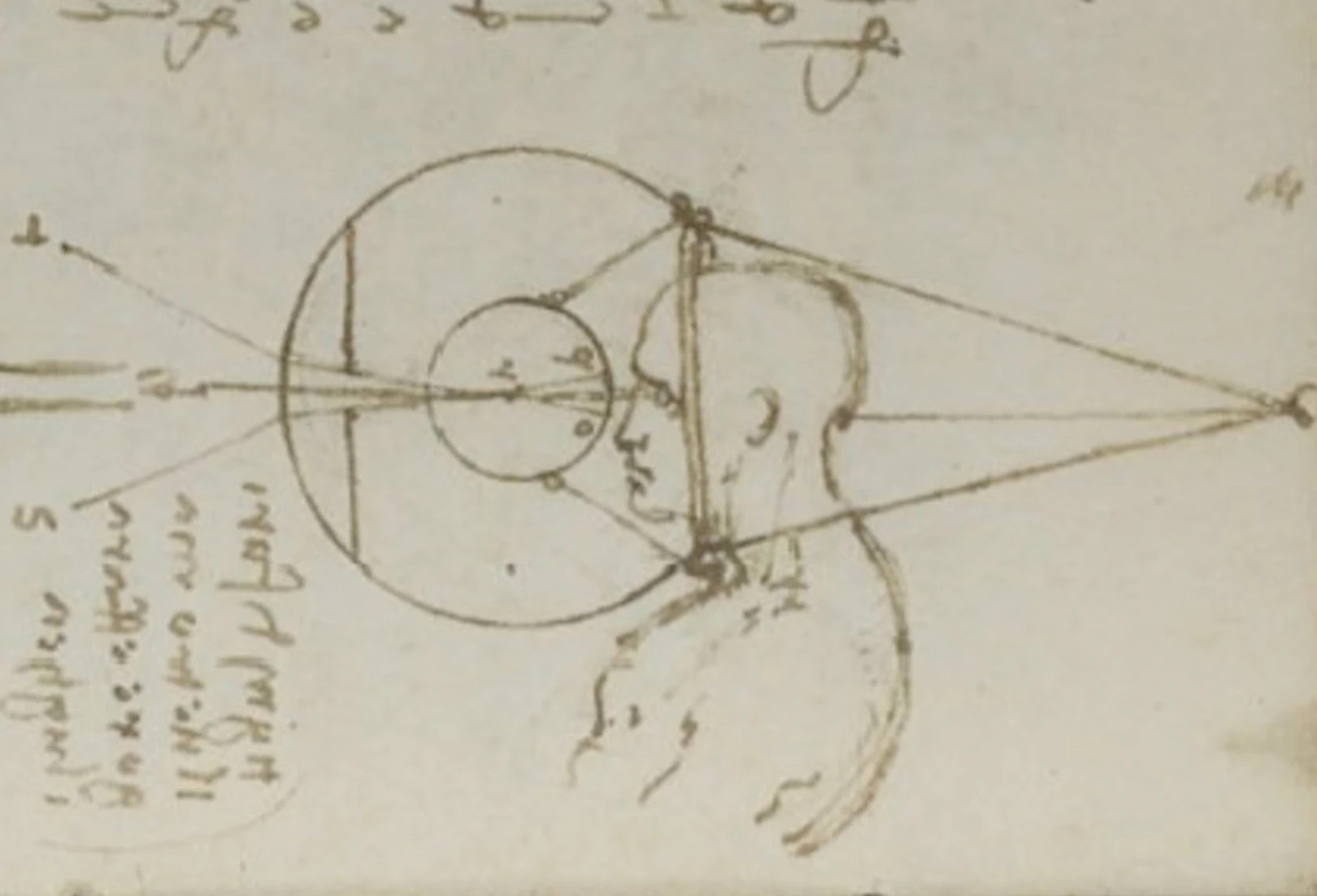 Leonardo archive