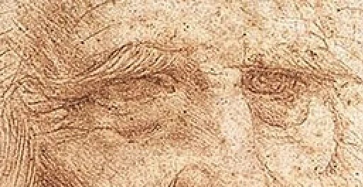 Leonardo study