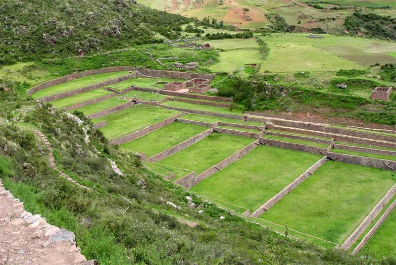 Tipon Cusco