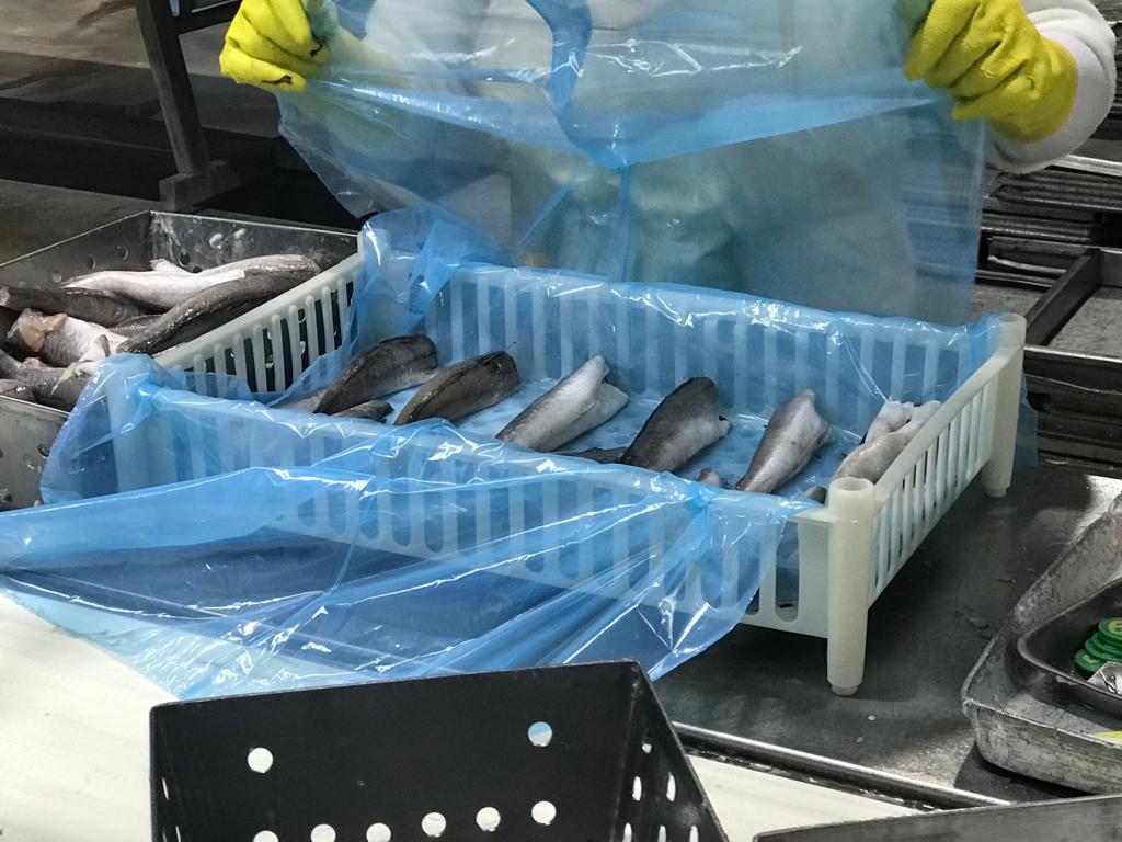 noticiaspuertosantacruz.com.ar - Imagen extraida de: https://pescare.com.ar/reajustes-de-gremios-por-tramo-final-del-convenio-de-fresqueros-y-plantas-de-procesado/