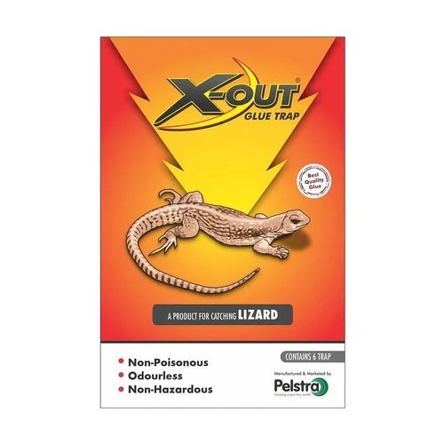 How To Use Lizard Trap Glue Pestclue
