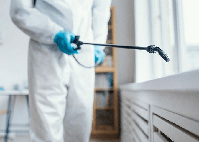 Pest Control Experts Forney