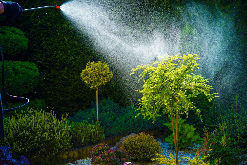 Pest control Forney TX