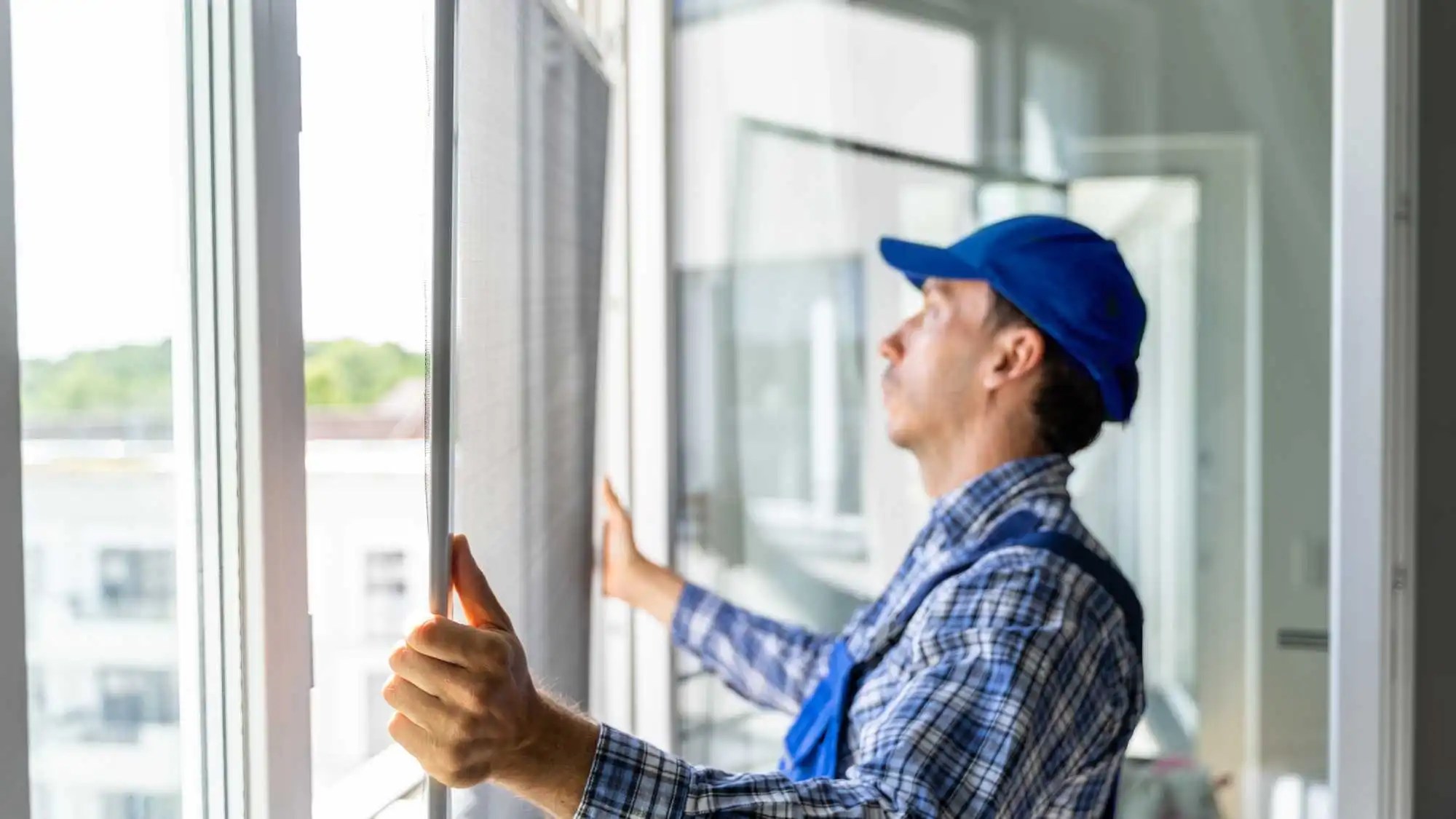 bird netting installation