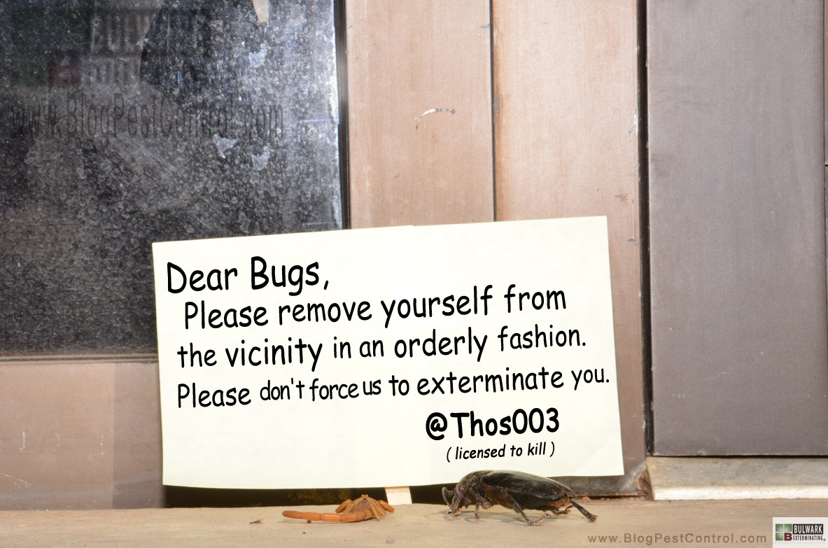 Holistic Pest Control Joke Pest Control Marketing Such