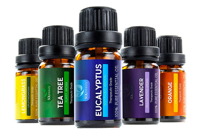 How To Get Rid Of Bed Bugs Naturally 13 Steps With Pictures