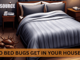 How Do Bed Bugs Get In Your House Pest Source