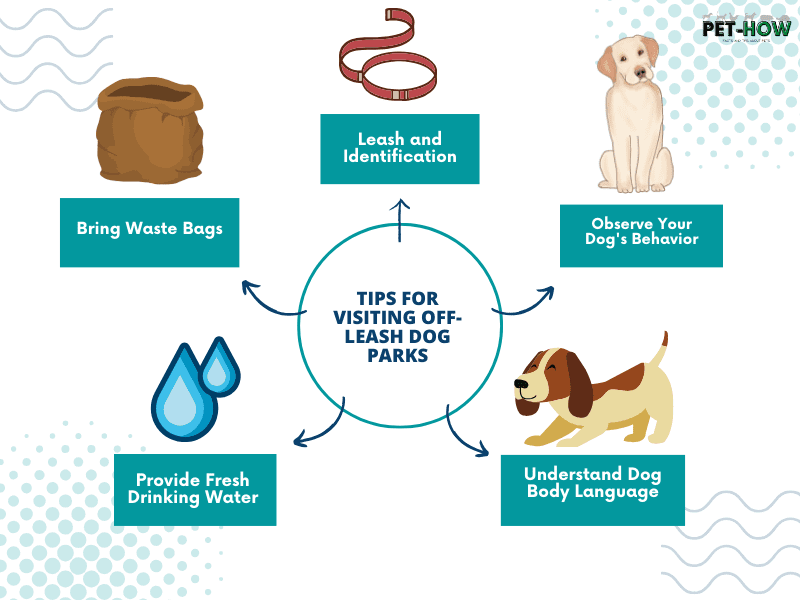Off Leash Dog Areas Near Me Your Guide To Freedom And Fun Wild Com Tips For Visiting Off Leash Dog Parks 