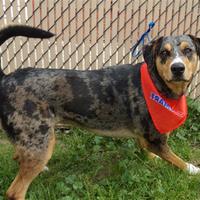 City of norco animal shelter in norco, california