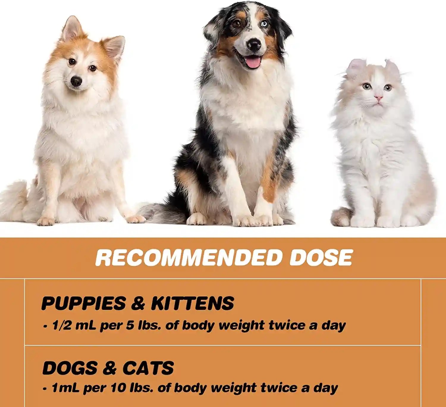 Iron supplements for anemic dogs & cats