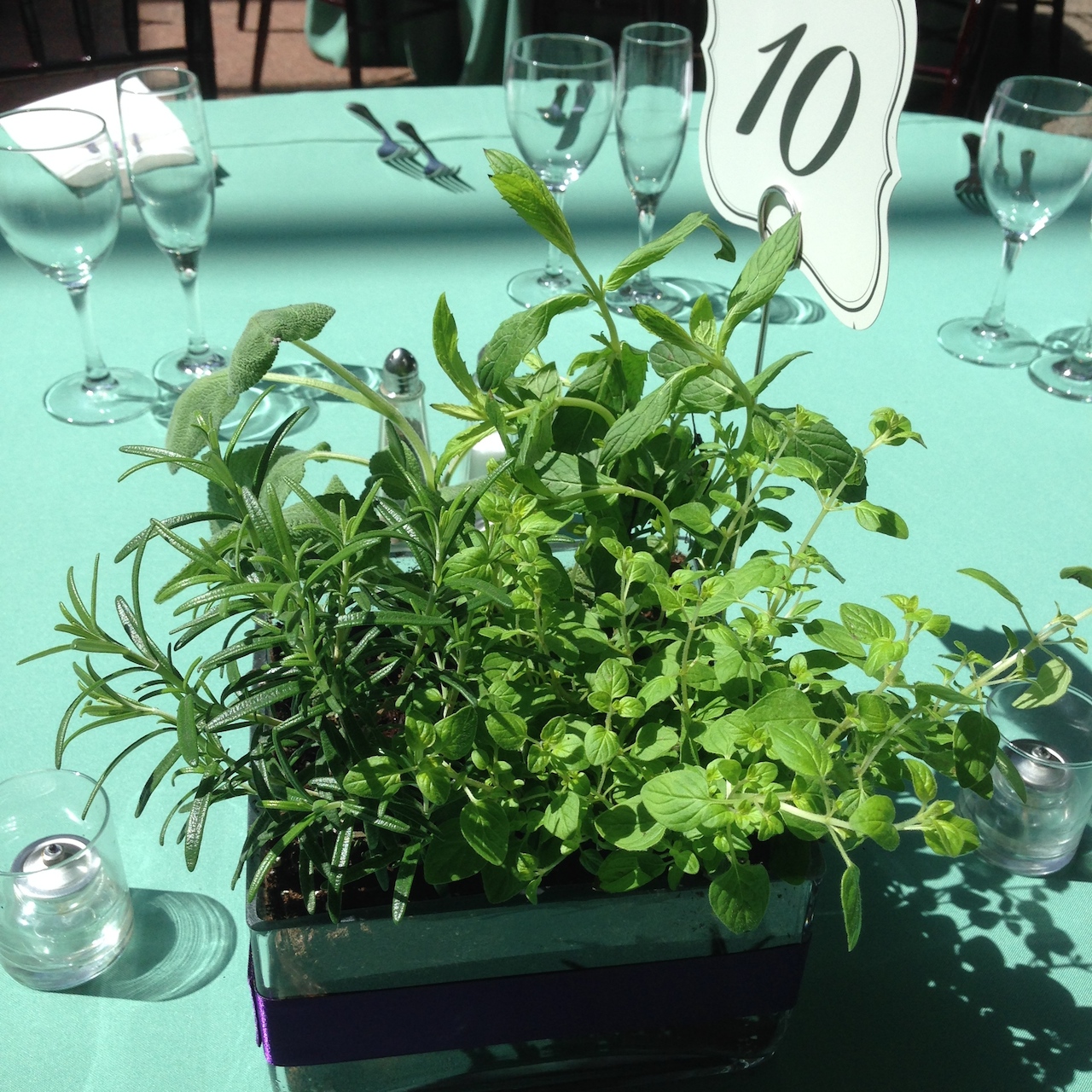 Photo courtesy Petal's Edge