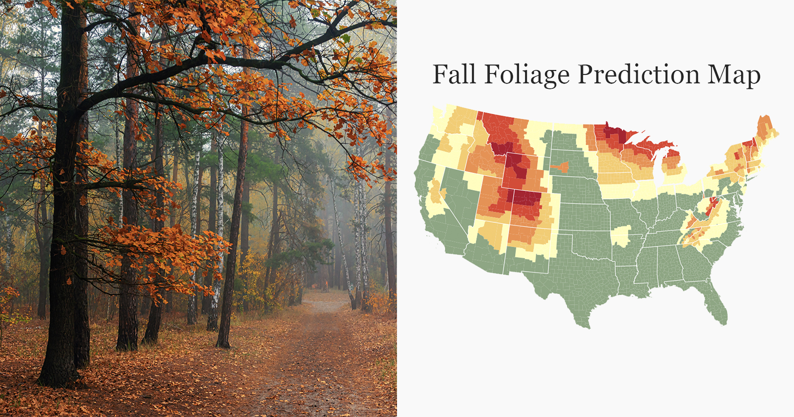 Best Fall Foliage Maps For Tracking Leaf Color Forecasts In 2026 Peak Leaf Forecast Map Petapixel 2 