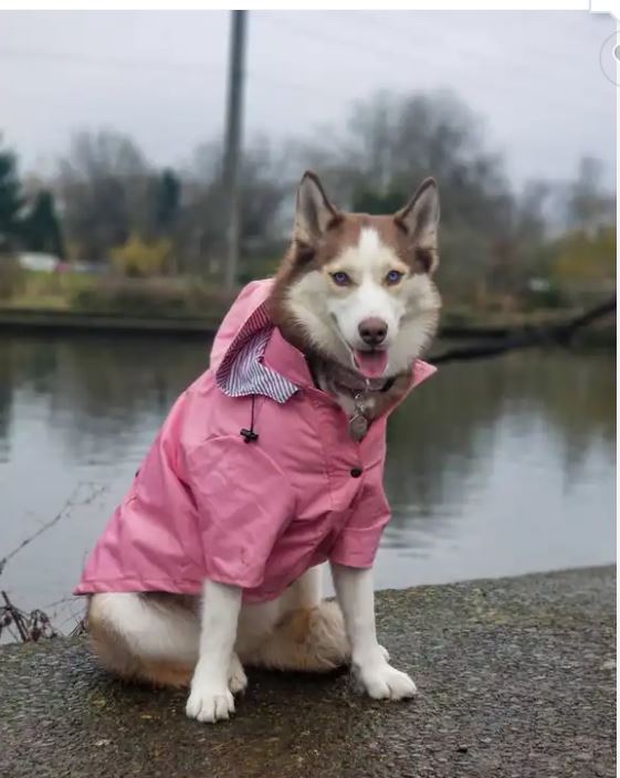 Impermeable con forro para perro color Rosa — vista 4