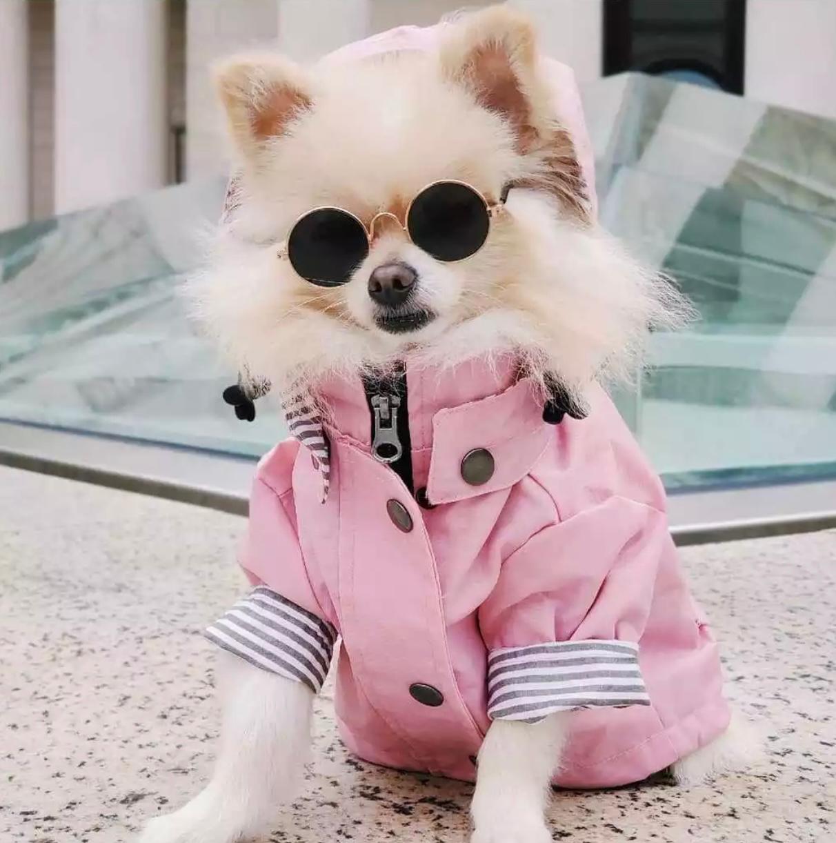 Impermeable con forro para perro color Rosa — vista 5