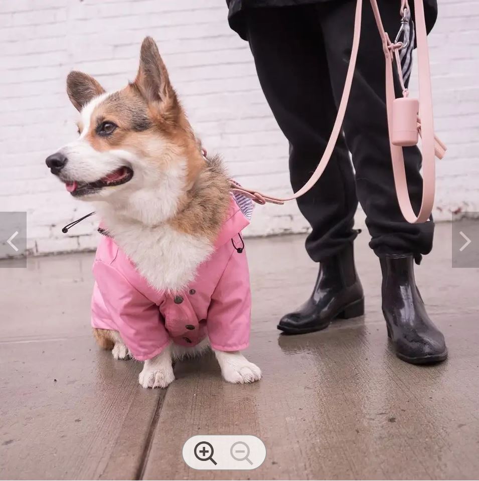 Impermeable con forro para perro color Rosa — vista 6