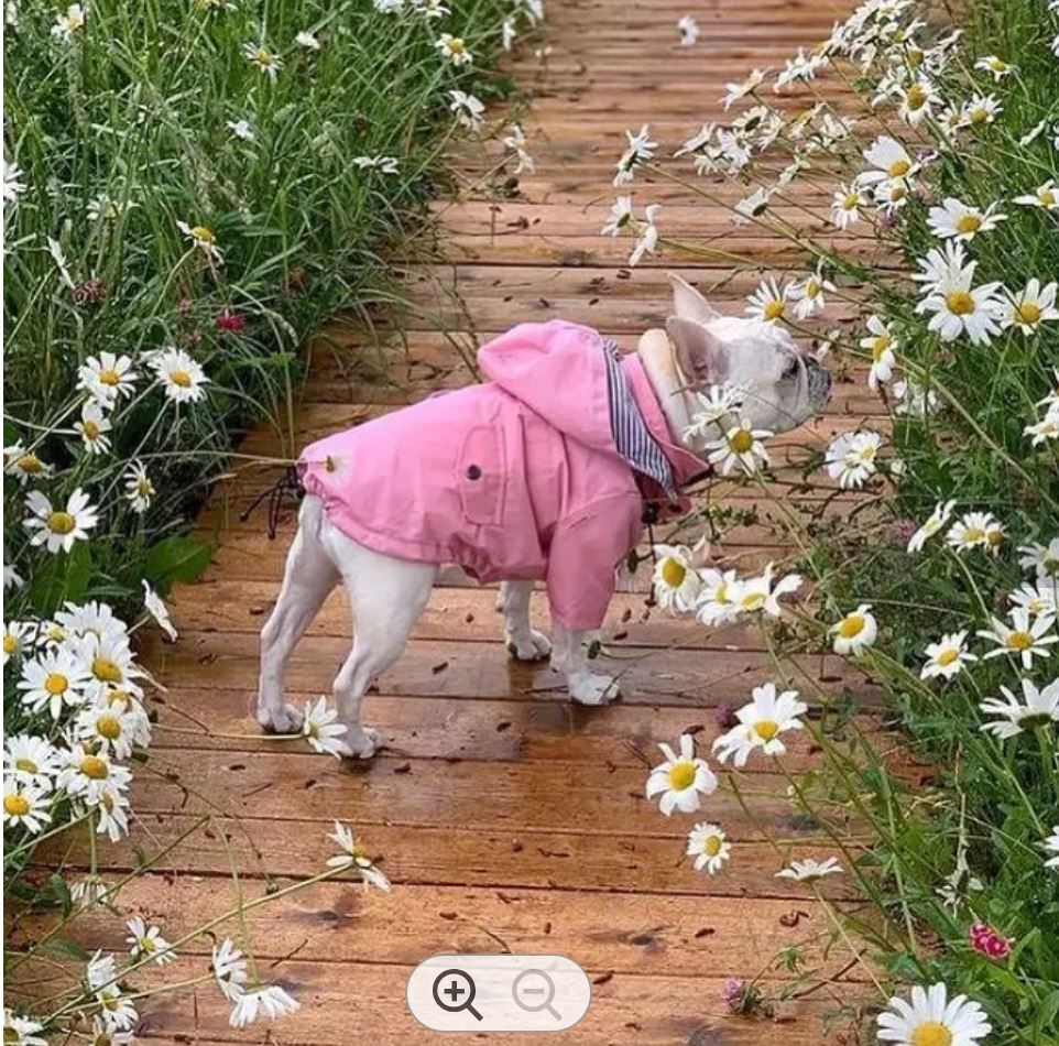 Impermeable con forro para perro color Rosa — vista 8