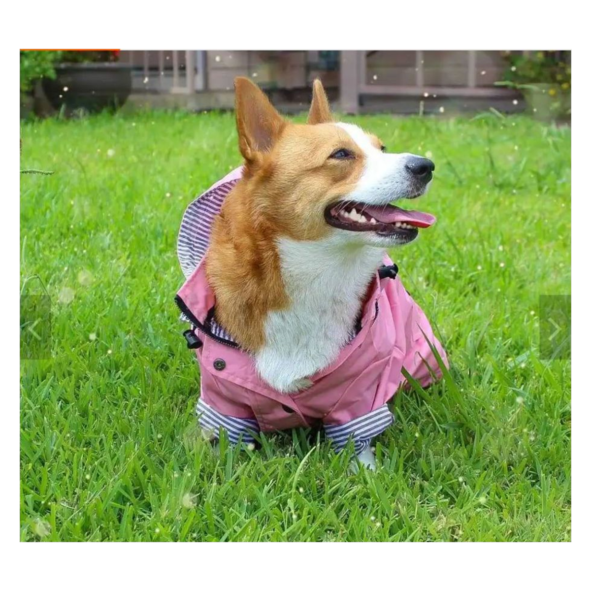 Impermeable con Forro para Perro — Rosa