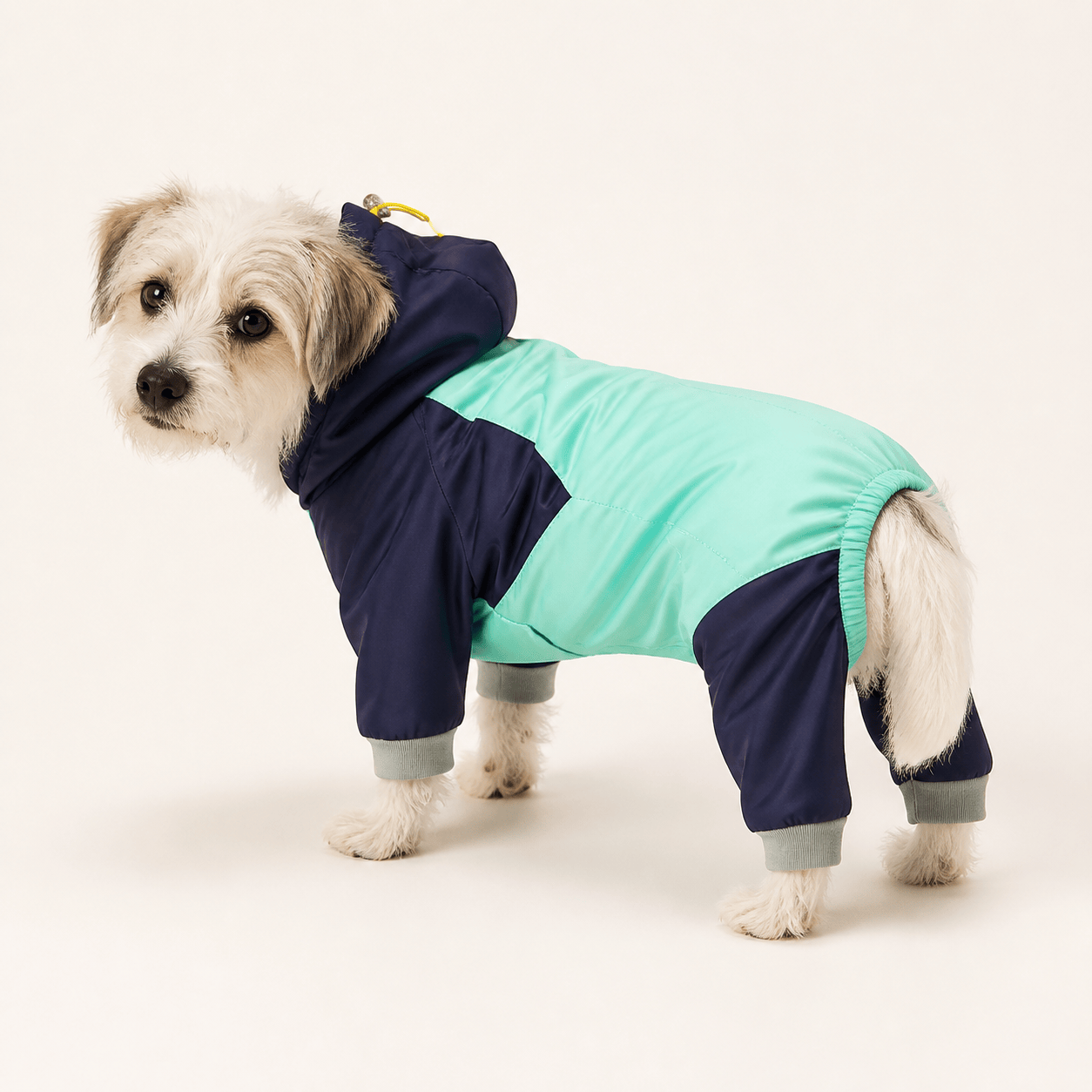 Rompevientos Alpine Mint para mascota