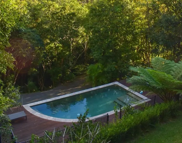 Aerial view of a backyard garden featuring a swimming pool surrounded by green foliage and trees.