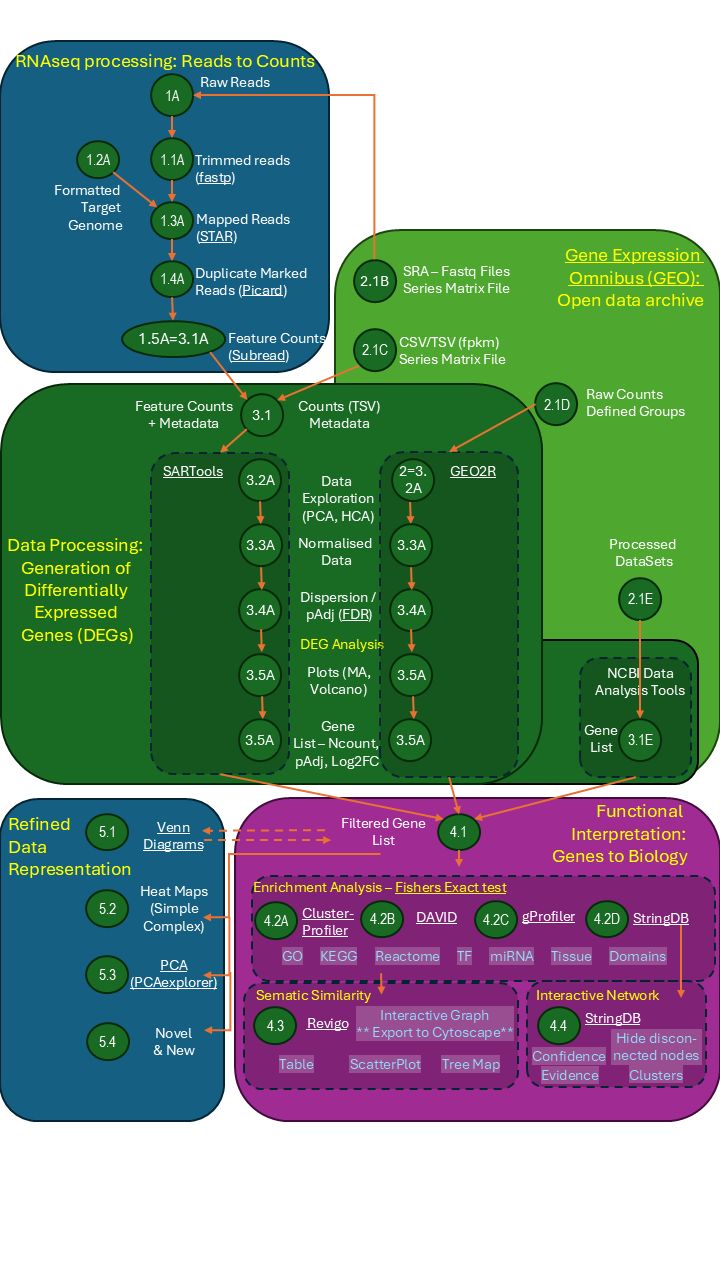 Github China2302 Transcriptomics Workflow Transcriptomics Workflow - Download Creative Landscape Picture | 4K