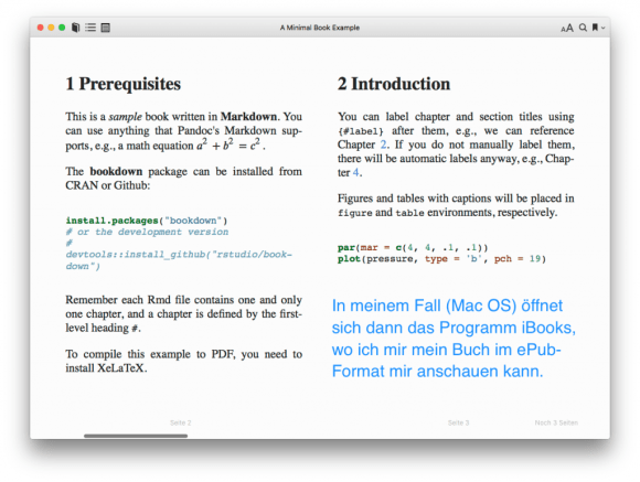 screenshot: Das eBook in Ihrem eBook-Reader anschauen