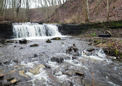 Обширный верхний пейзажный парк с прудом, водопадом и руинным . Vodopady I Gejzery Vodopady I Gejzery V Spb 10 Mest