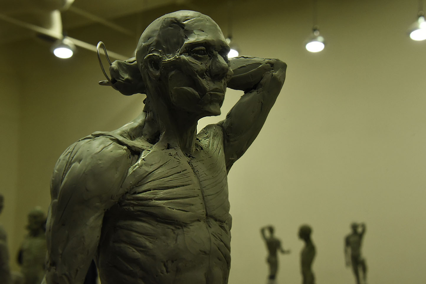 Antomy Tools | Figurative Sculpture Lvl2