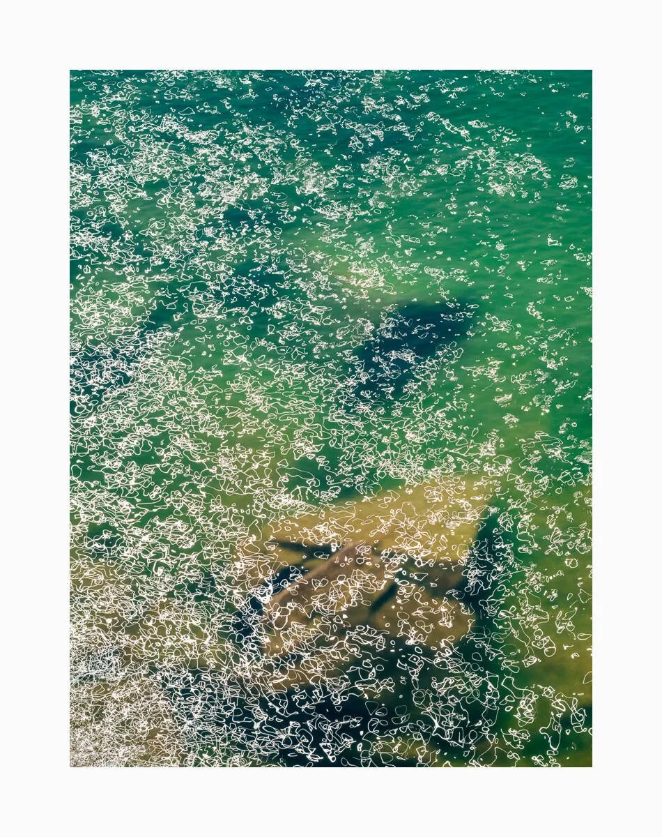 Water Music - Peter Dušek