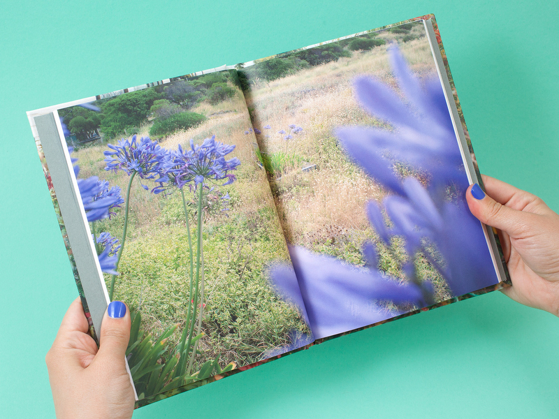 againagain800px_0005