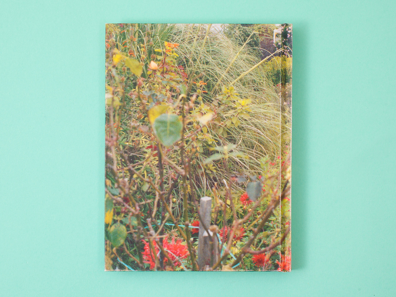 againagain800px_0014