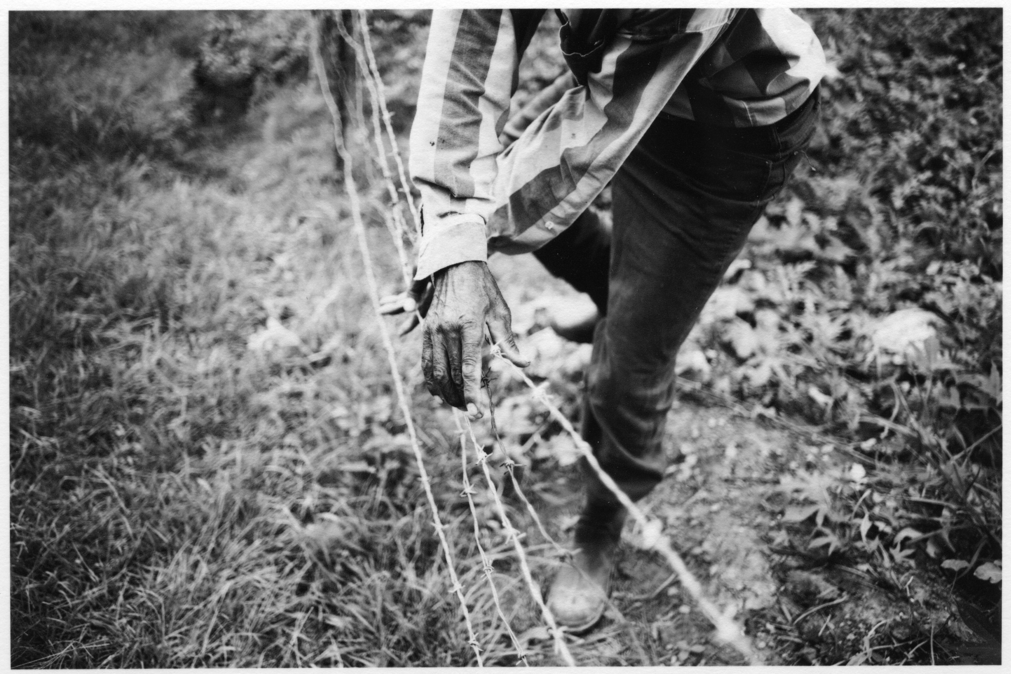 Hoffman_pplLand_scan_20240818_0013