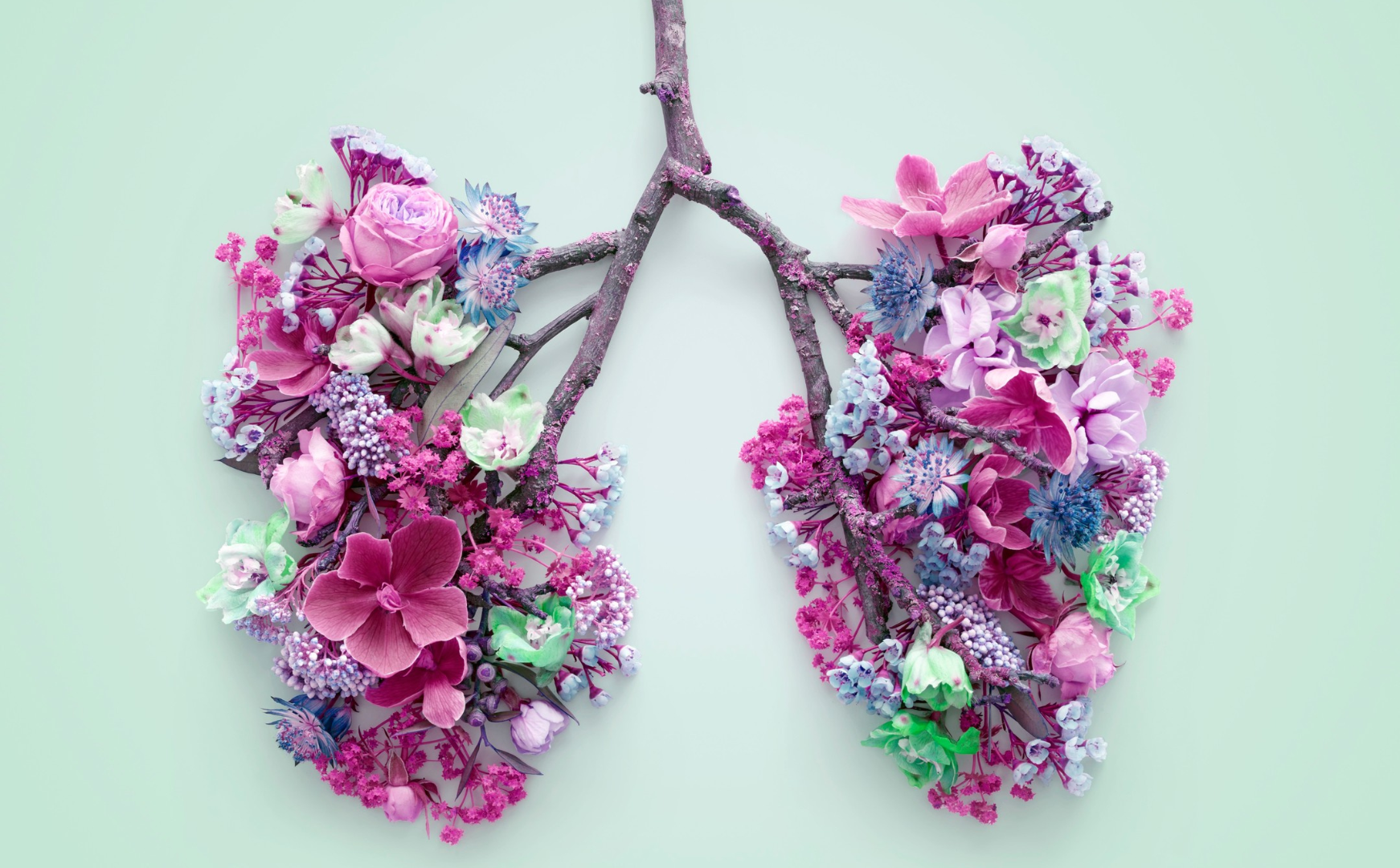 Spring flowers representing human lungs, conceptual studio shot.