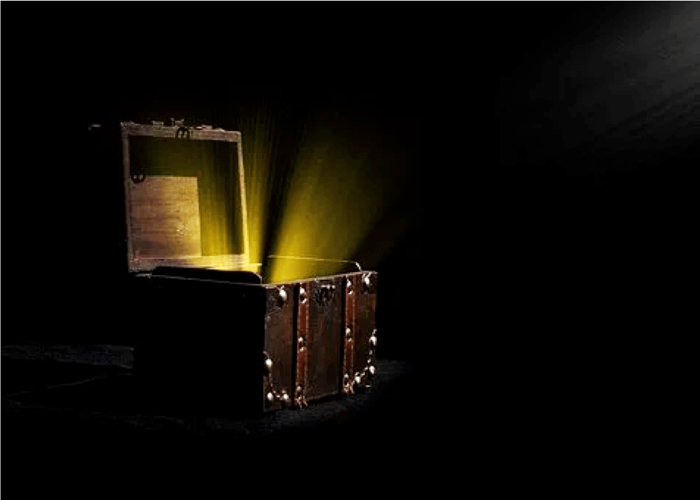 Read more about the article Searching for Hidden Treasure