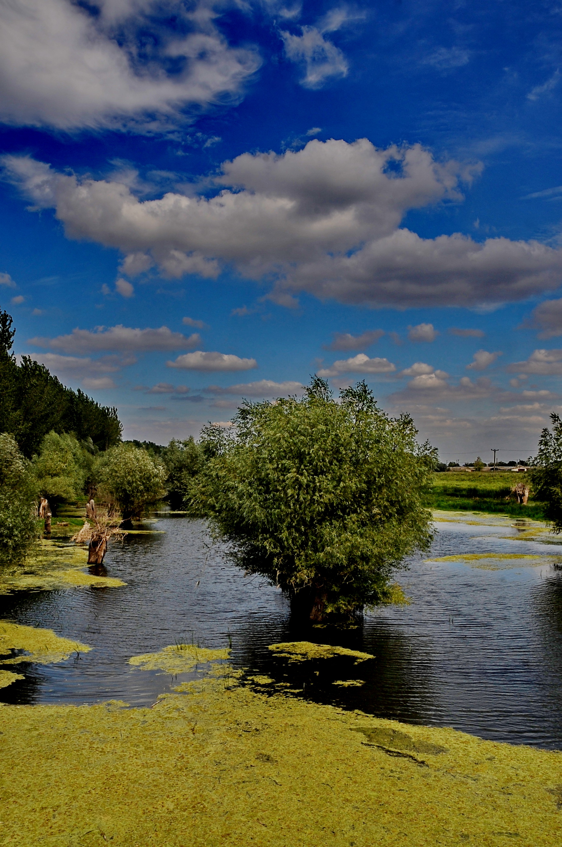Vezi dacă plouă, ninge sau e soare în brăila. Insula Mare A BrÄilei Peterlengyel