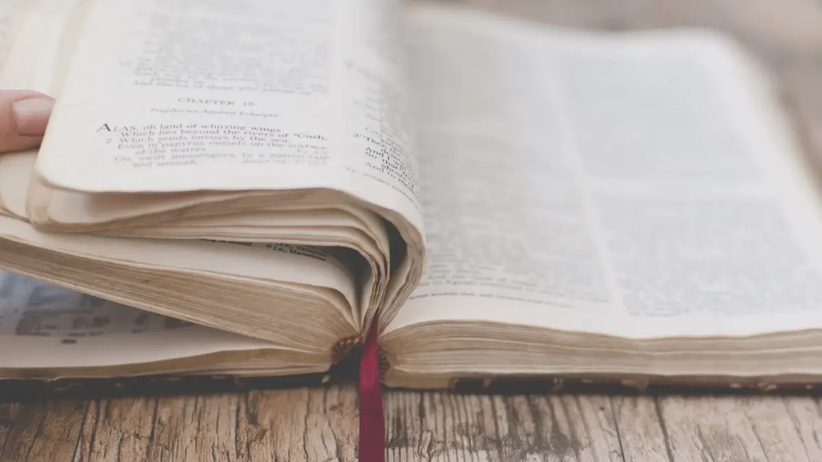 Open Bible