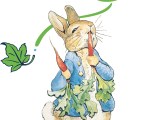 Peter Rabbit Peter Rabbit