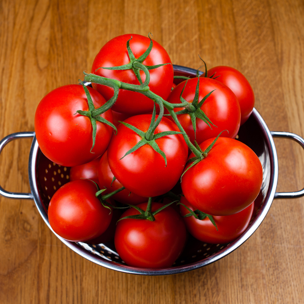 GPZ_Tomaten01