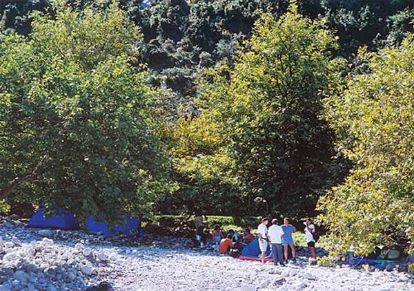 tritaia