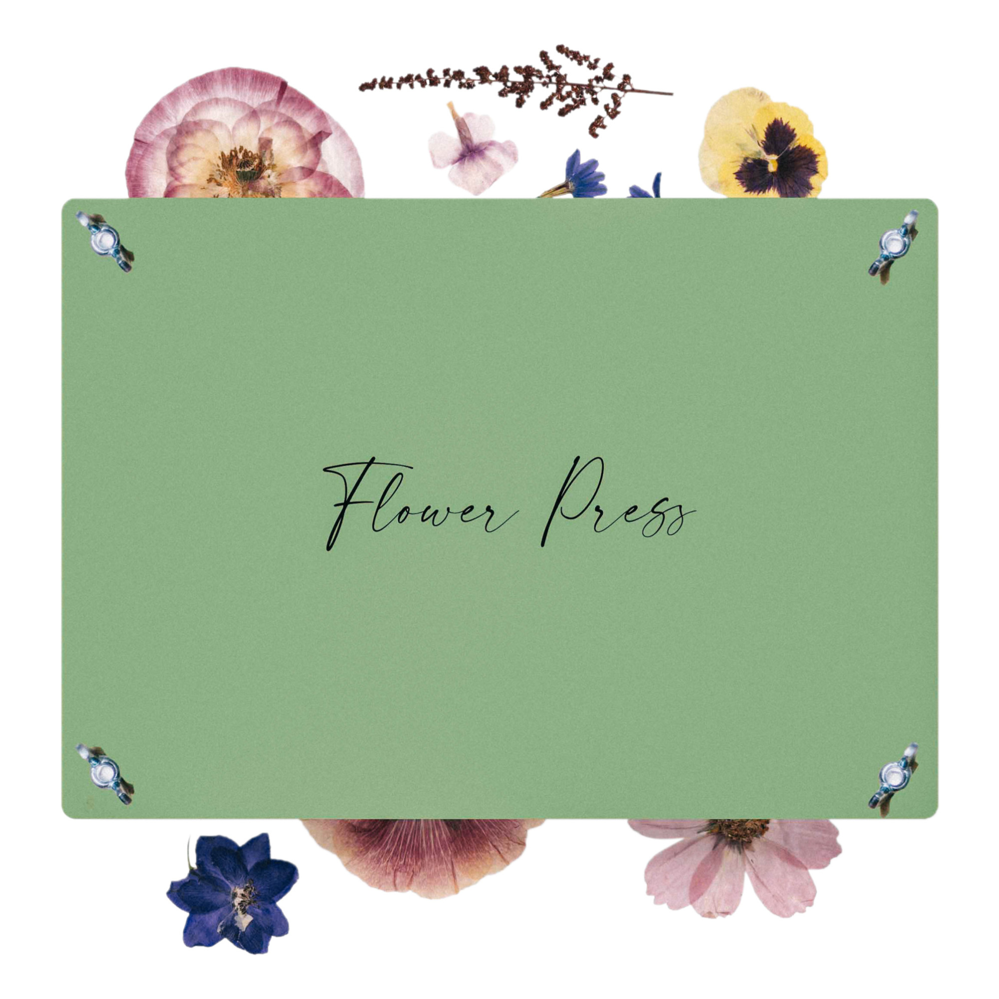 flower-press-nature-king