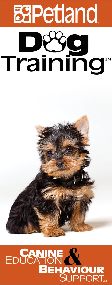 Petland Dog Training: Unleash Your Pup's Potential!