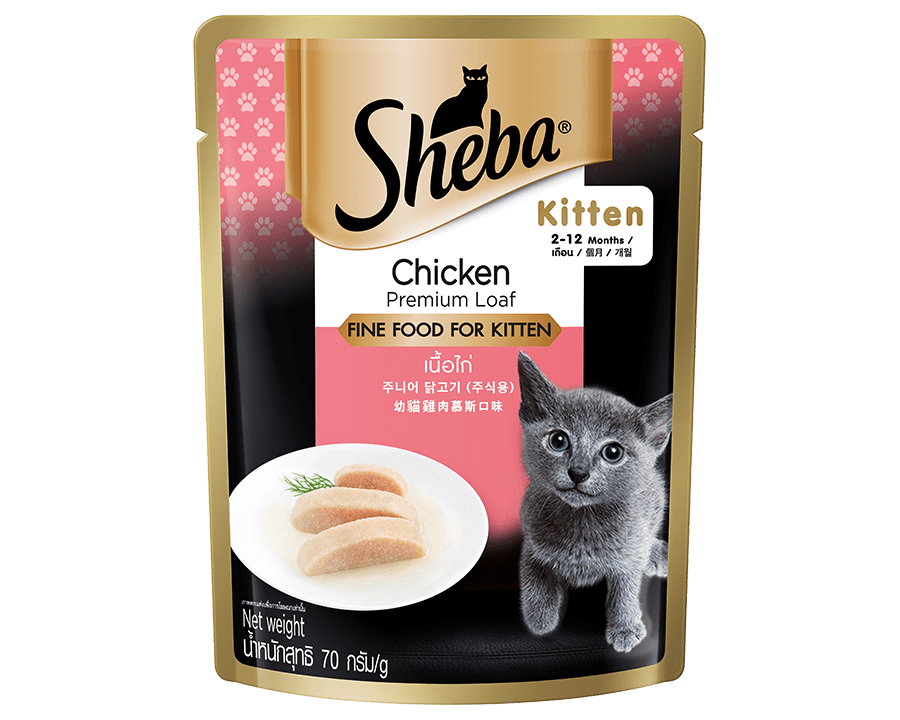 Sheba Cat Food Pouch Kitten Chicken Flavor
