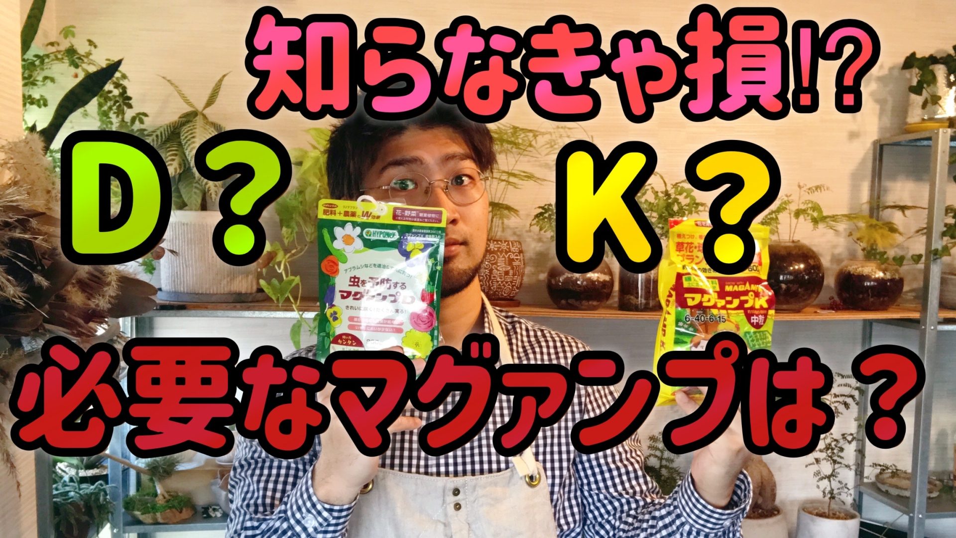 マグァンプKとマグァンプDの違い