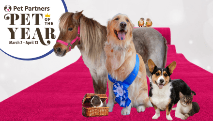 2026 Pet Of The Year Fundraiser Pet Partners Therapy Animals OneCause Banner 12 