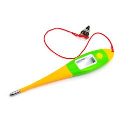 Learning how to use a digital rectal thermometer for pets is not complicated