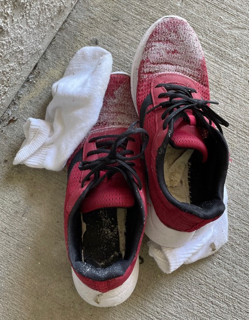 A helpful strategy to find a lost pet is leave out your smelly sneakers