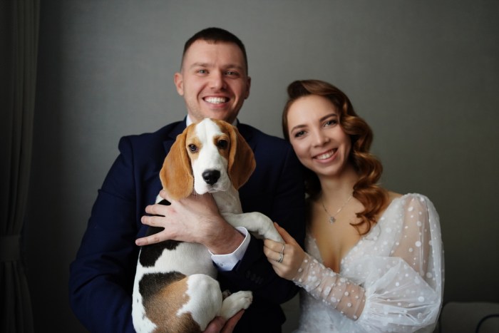 Pet-nup? Well, it’s like a pre-nup agreement that manages companion animals in a breakup