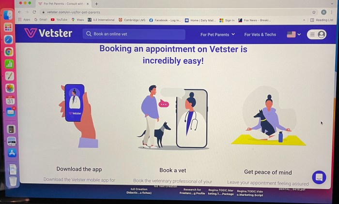 Consulting a veterinarian remotely is trending as a popular alternative to in-person consultations
