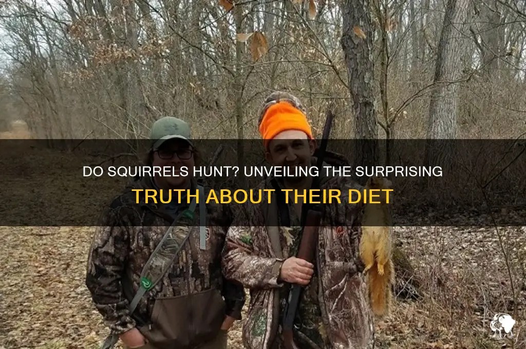 Do squirrels hunt? unveiling the surprising truth about their diet