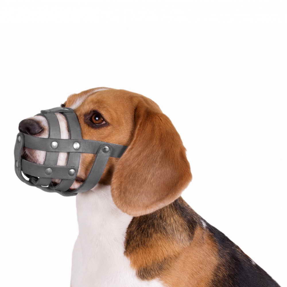 dog from despicable me costume